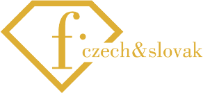 FashionTV Czech&Slovak icon