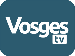 Vosges Télévision icon