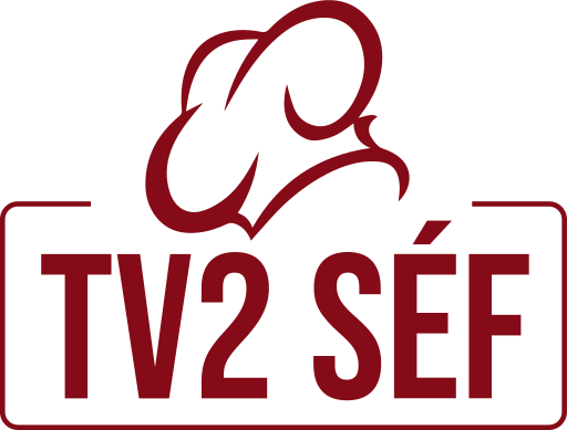 TV2 Séf icon