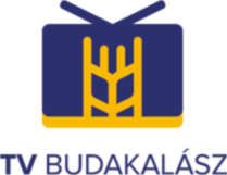 TV Budakalasz icon