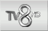 TV 8 icon