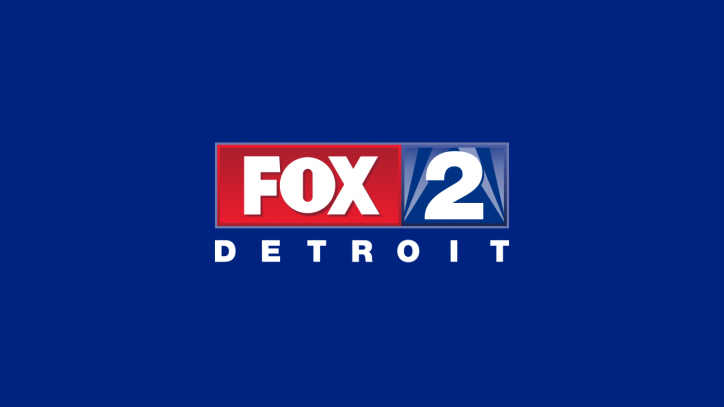 Icône de FOX 2 Detroit MI (WJBK)