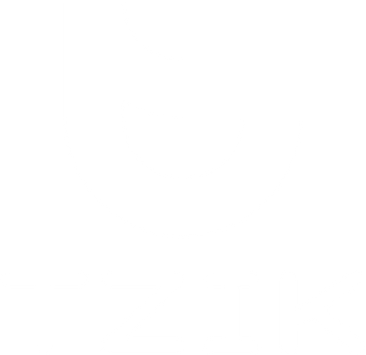 TZiK icon