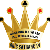 Satranç TV icon