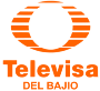 Televisa Del Bajio icon