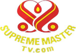 Supreme Master TV icon