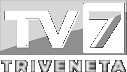 TV7 Triveneta icon